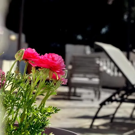 Nota Apt 'Vacation Near The Sea' 2 Barbati Exterior photo